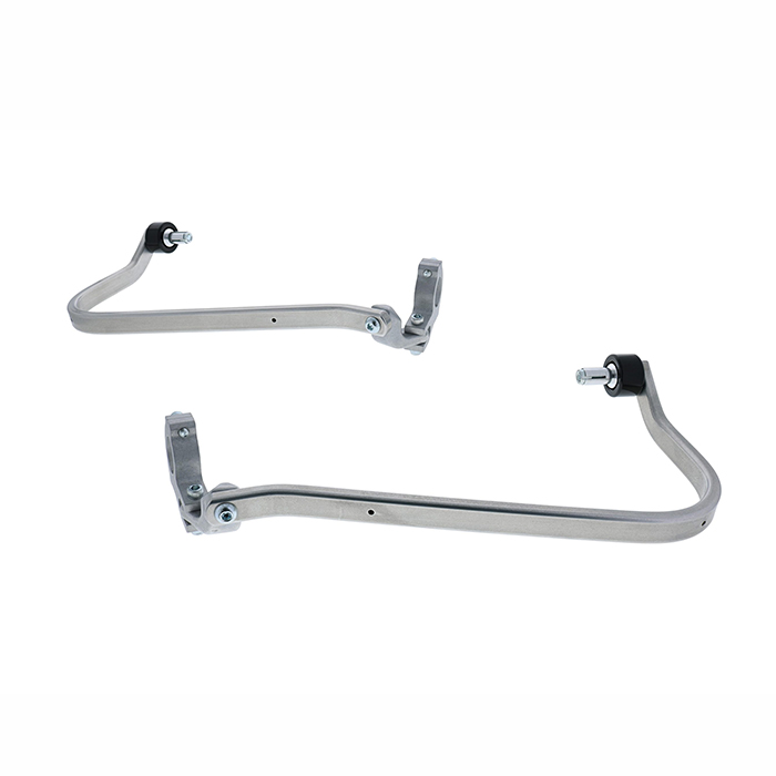 Daisy on the Ohoopee